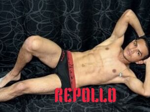REPOLLO