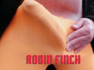 ROBIN_FINCH