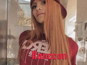 Raaccon