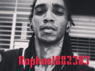Raphael882303