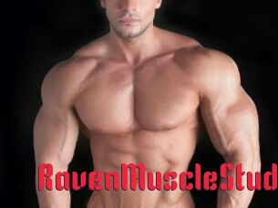 RavenMuscleStud