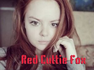 Red_Cuttie_Fox