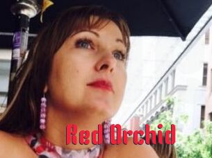 Red_Orchid