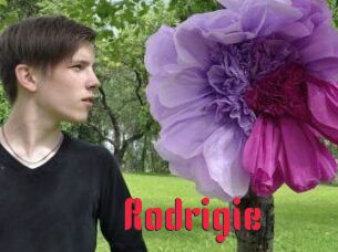 Rodrigie