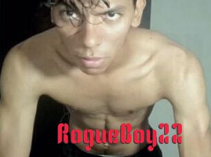 RogueBoy22