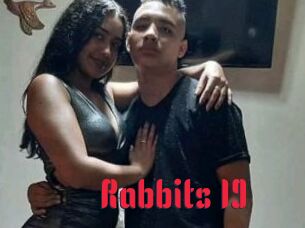 Rabbits_19