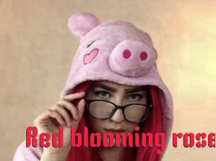 Red_blooming_rose