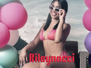 Rileynacci
