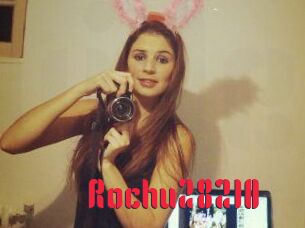 Rochu28210