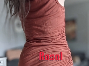 Rosa1