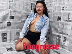 Rosyrosse