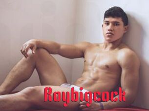 Roybigcock