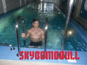 SKYBOMBBULL