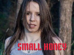 SMALL_HONEY