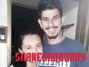 SNAKEANDBUNNY