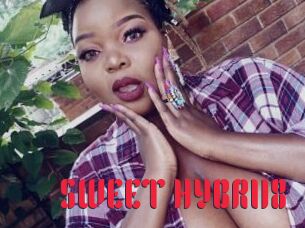SWEET_HYBRI18