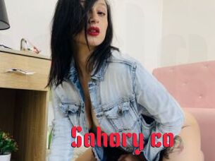 Sahory_co