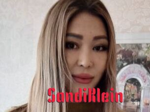 SandiKlein