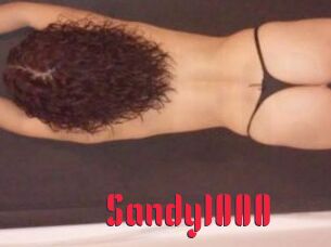 Sandy1000