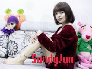 SandyJun Video Extrait