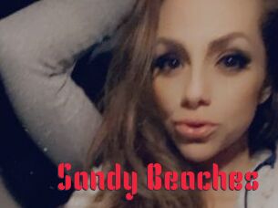 Sandy_Beaches
