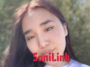 SaniLink