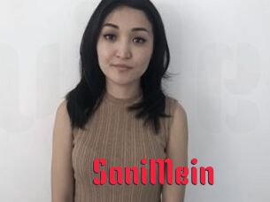 SaniMein