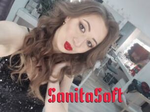 SanitaSoft Video Extrait