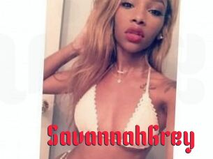 Savannah_Grey