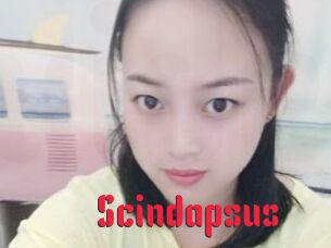 Scindapsus