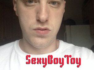 SexyBoyToy