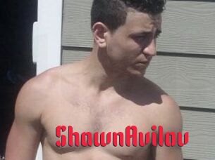Shawn_Avilov