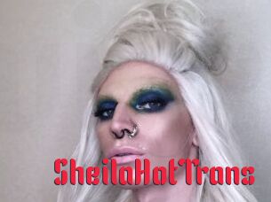 SheilaHotTrans
