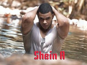 Shein_A