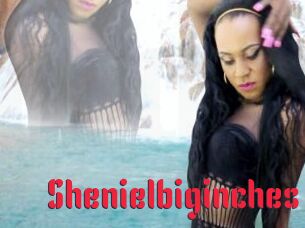 Shenielbiginches