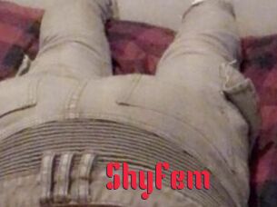 ShyFem