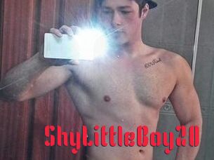 ShyLittleBoy20