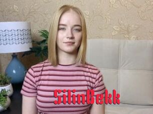 SilinBekk