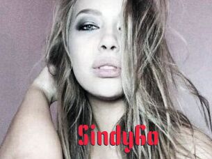 SindyGo_