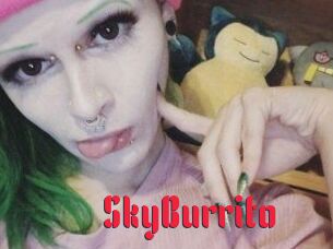 SkyBurrito