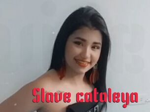 Slave_cataleya