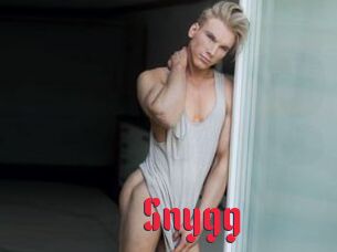 Snygg