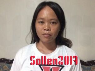 Sollen2017