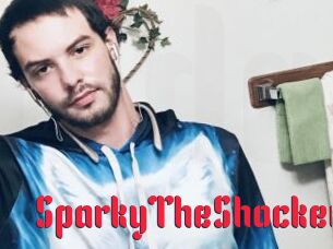 SparkyTheShocker