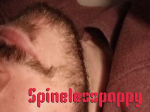 Spinelesspoppy
