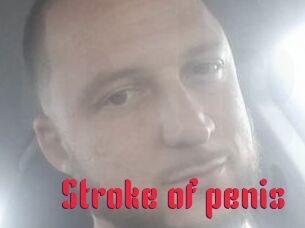 Stroke_of_penis