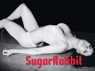 SugarRabbit