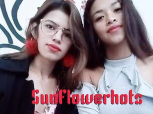 SunFlowerhots