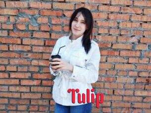 Tulip