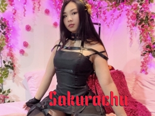 Sakurachu